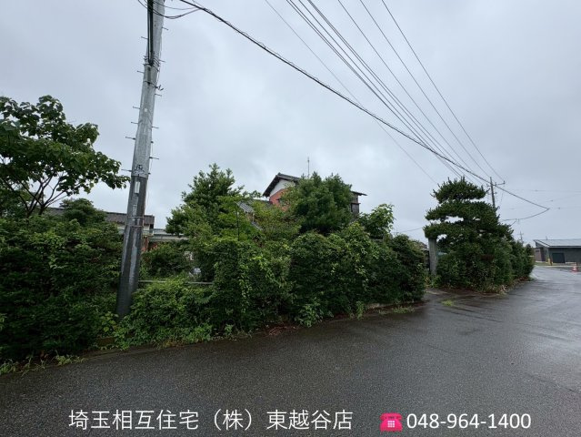 令和8年7月撮影