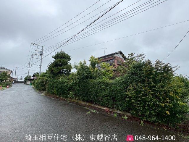 令和8年7月撮影
