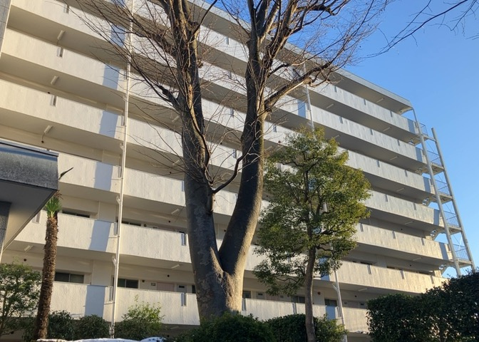 外観はマンション管理がされているかの目安になります。築年数が古いと、壁面は劣化してひび割れが生じることも！建物が古びていても細かいところが修繕されていると、きちんと管理されているなぁと感じるでしょう。