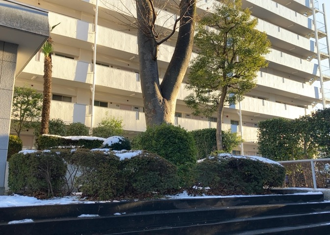 物件によっては、入居者が個人的に使用できる専用庭がついているものもあります。また、住宅の中にある土間の部分を庭と呼ぶこともあります。庭の用途は住む人によって変わり、それによってデザインもさまざまです。