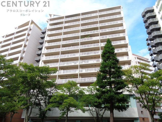 外観：328000523784