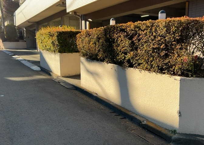 物件によっては、入居者が個人的に使用できる専用庭がついているものもあります。また、住宅の中にある土間の部分を庭と呼ぶこともあります。庭の用途は住む人によって変わり、それによってデザインもさまざまです。