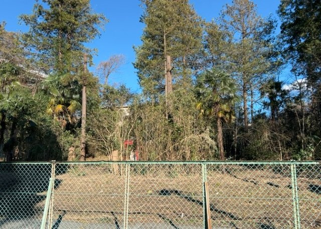 眺望を気にして物件を探す場合、前面に建物が建っていないか現地で確認しましょう！前面に建物があると景色はもちろん、日当たりや風通しにも影響が出てきます。住んだ時のことを想像しながら現地見学をしましょう。