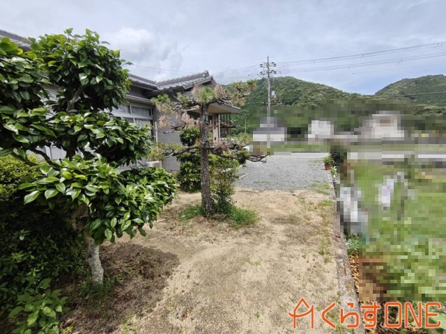 庭