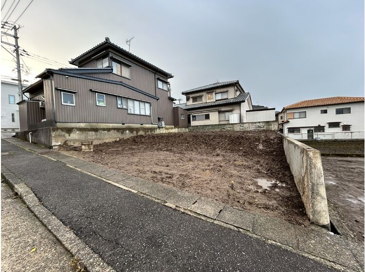 外観：317000011441