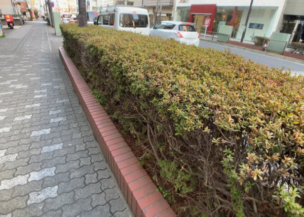 八王子ローヤルマンションの中庭