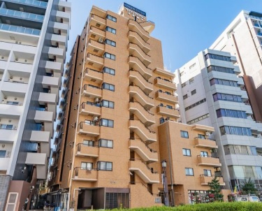 外観：313004693208