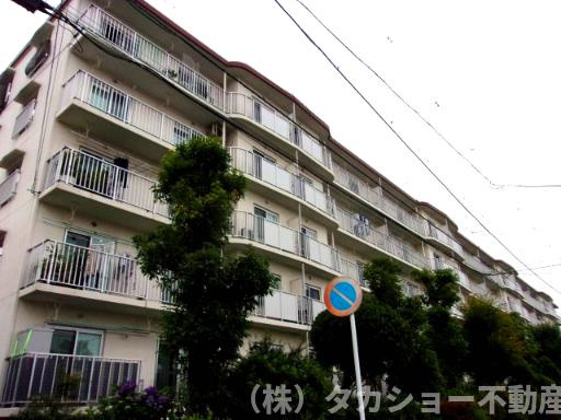 外観：312001224154