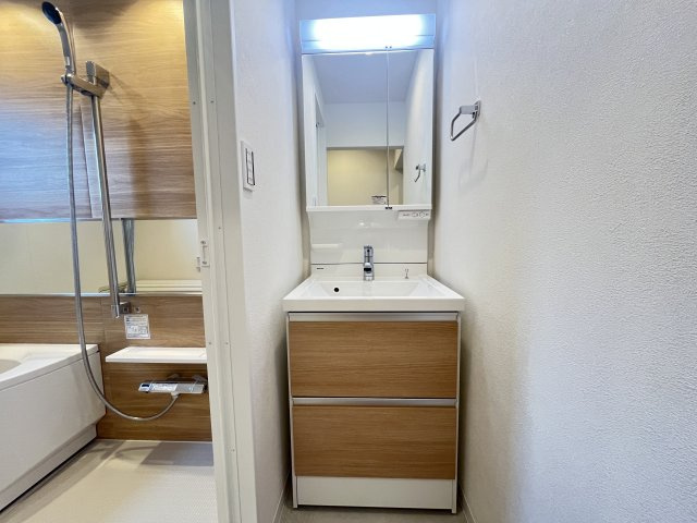鏡の裏も収納となっています