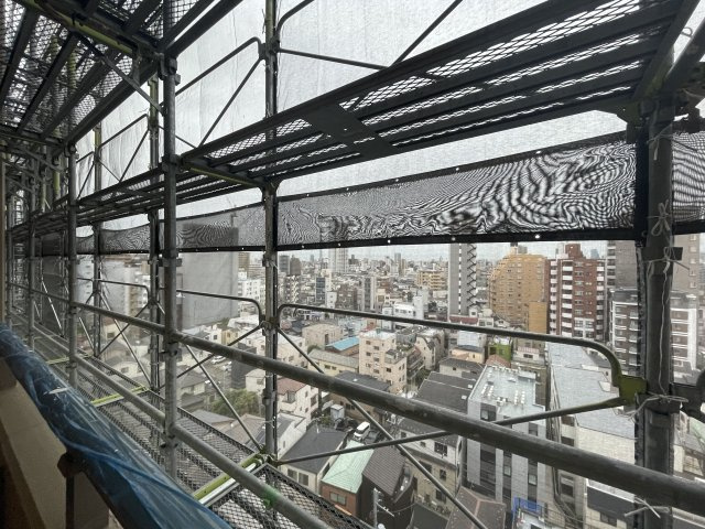 展望