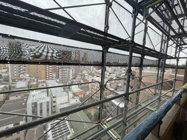 展望