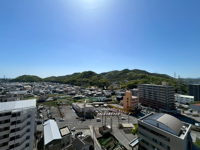 展望