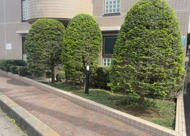 中庭（パティオ）とは、一つの建築物の内部に設けられた、壁などで囲われている庭のことを指します。コの字型、ロの字型が主流ですが、L字型の中庭もあります。最近では、インテリア性の高さからも人気があります。