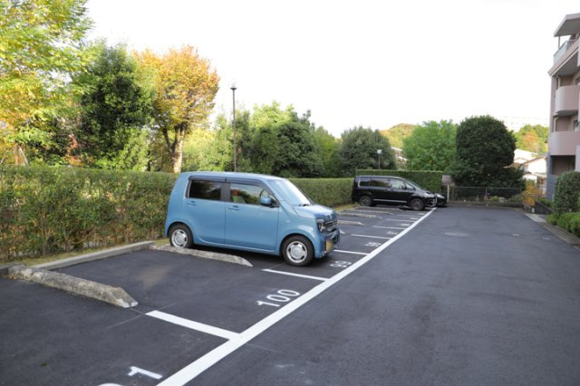 車一台あたりに必要なスペースは、標準サイズの普通自動車で横幅2m50cm、長さ5mは必要になります。ただし、乗降のことも考慮して横幅3m30cm、長さ5m50cmほどは確保できるところを選びましょう。