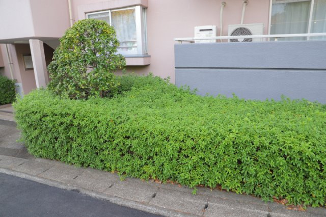 物件によっては、入居者が個人的に使用できる専用庭がついているものもあります。また、住宅の中にある土間の部分を庭と呼ぶこともあります。庭の用途は住む人によって変わり、それによってデザインもさまざまです。