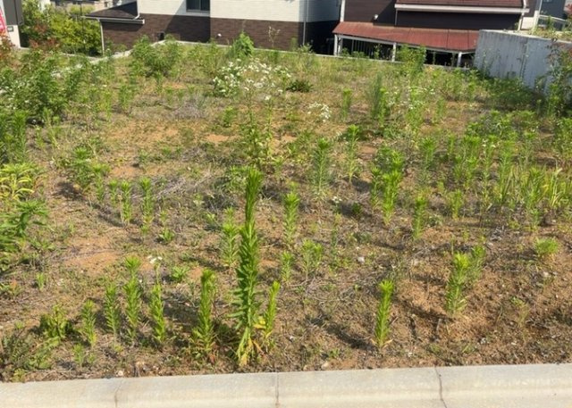 家を建てる前提で土地を探している場合、地盤の丈夫さは譲れない条件の一つです。地盤が脆弱だと追加工事が必要となります。また、過去に地盤沈下や液状化現象を起こした土地は、できるだけ避けた方がいいでしょう。