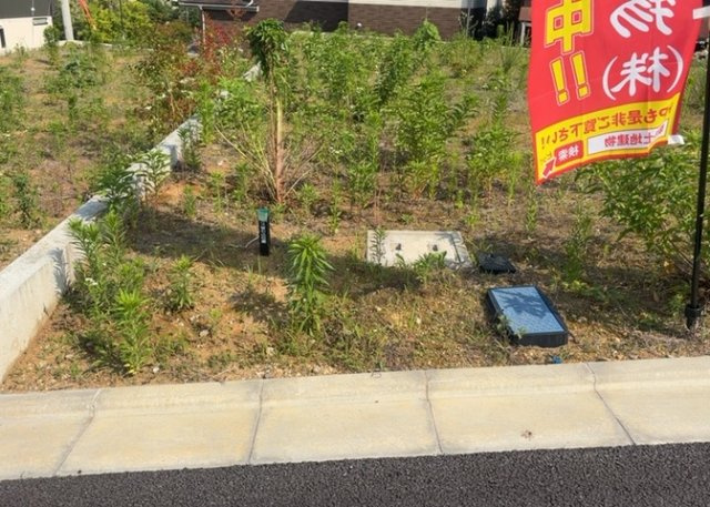 人が暮らすうえで日光は大切な要素となります。日当たりの良さは譲れないポイントですね。併せて近くに大きな建築物の建築予定がないか、あるいはそれが可能な土地が近くにないか事前に確認することもお勧めします。