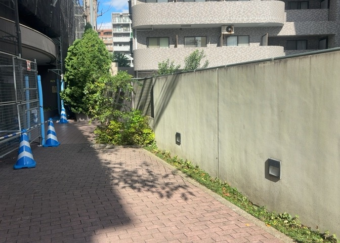 中庭（パティオ）とは、一つの建築物の内部に設けられた、壁などで囲われている庭のことを指します。コの字型、ロの字型が主流ですが、L字型の中庭もあります。最近では、インテリア性の高さからも人気があります。