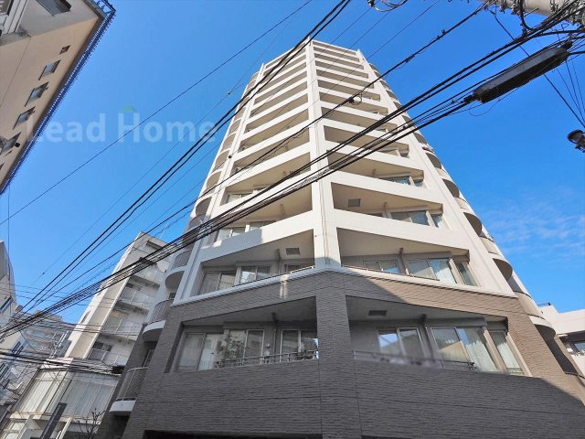 外観：313004655321