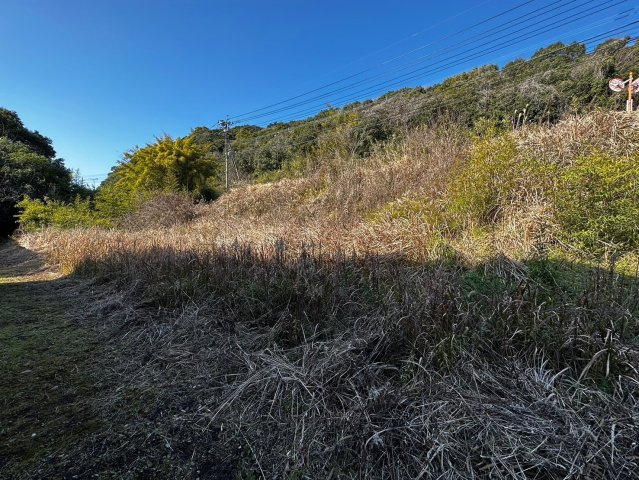 外観：346000036241