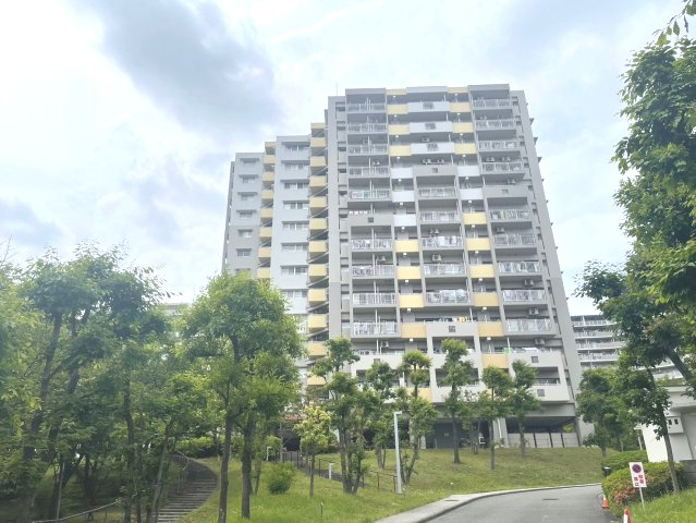 外観：313003758654