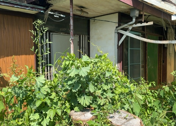 玄関は家の顔と言っても過言ではありません。現地を見学する際は玄関の広さや全体のバランスなどを見てみるといいでしょう。一般的なアプローチのしやすさだけではなく、お年寄りにも優しい設計のものだと安心です。
