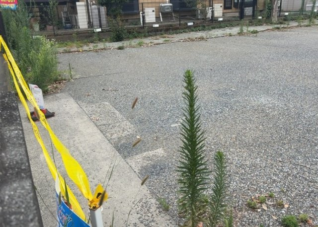 土地探しをしていると都市計画区域という言葉を目にすると思います。法律によって、都道府県知事や国土交通大臣が指定するエリアのことを指しており、都市計画区域は市街化区域と市街化調整区域に分けられています。