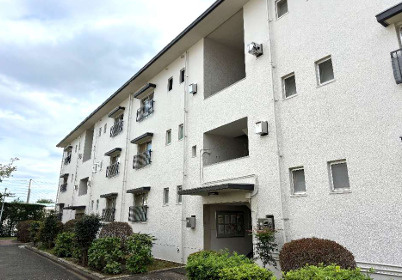 外観：313004618647