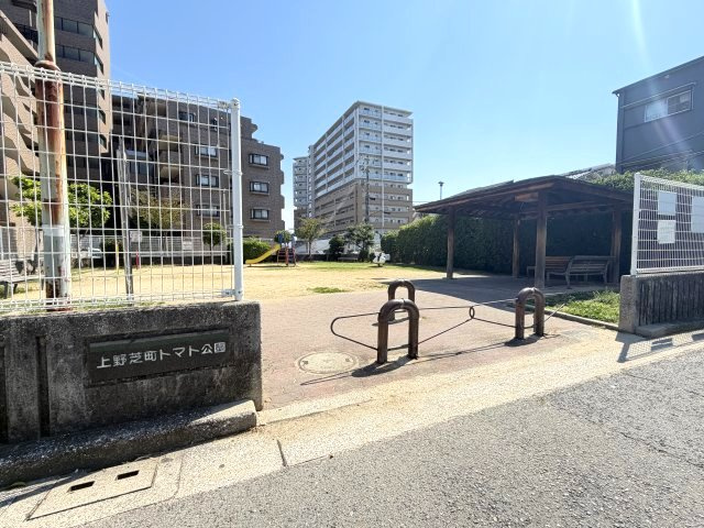 緑豊かな公園が身近にある住環境。お子様との時間や気分転換にも嬉しい立地です。