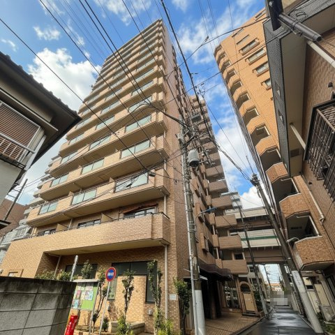 外観：313004691734