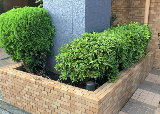 物件によっては、入居者が個人的に使用できる専用庭がついているものもあります。また、住宅の中にある土間の部分を庭と呼ぶこともあります。庭の用途は住む人によって変わり、それによってデザインもさまざまです。