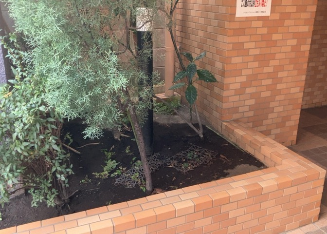 中庭（パティオ）とは、一つの建築物の内部に設けられた、壁などで囲われている庭のことを指します。コの字型、ロの字型が主流ですが、L字型の中庭もあります。最近では、インテリア性の高さからも人気があります。