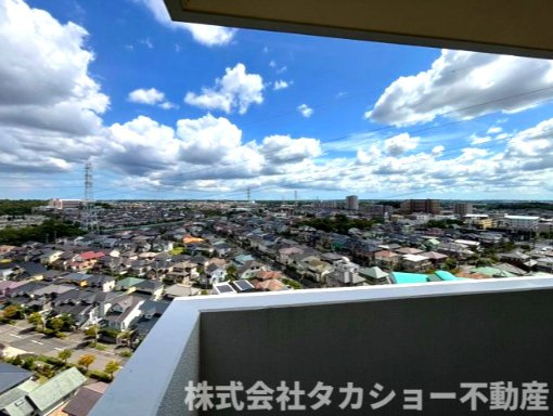 展望