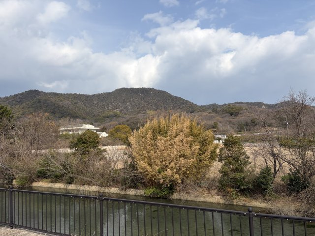 物件周辺は緑豊かな住環境。空を近くに感じるロケーション。