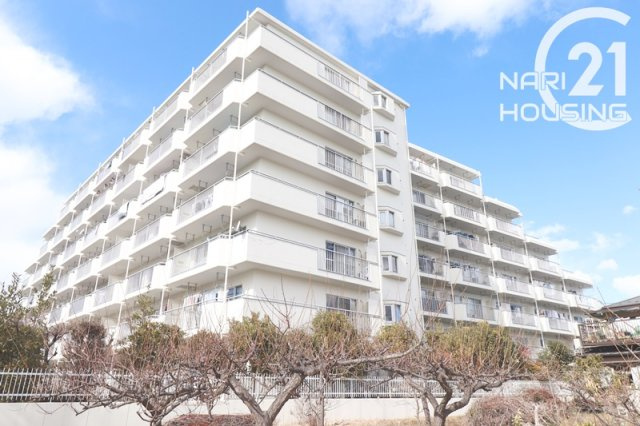 外観：313004684717