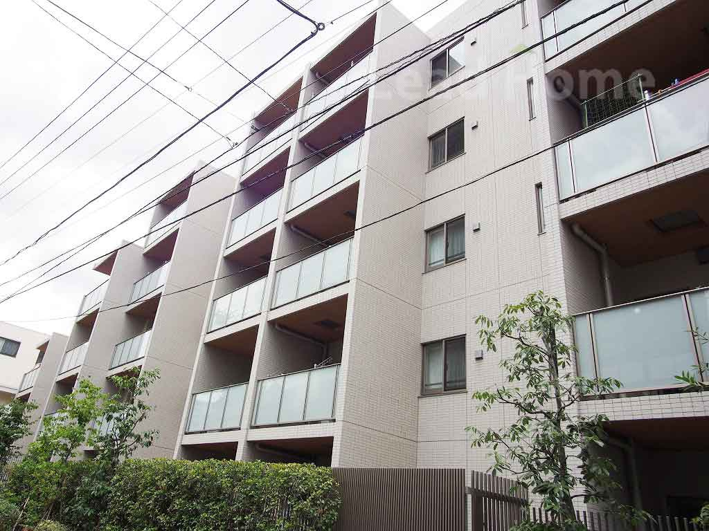 外観：313004648903