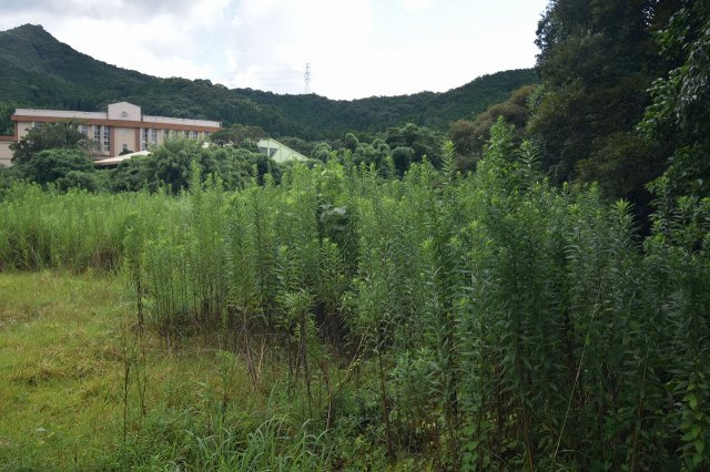 外観：346000040054