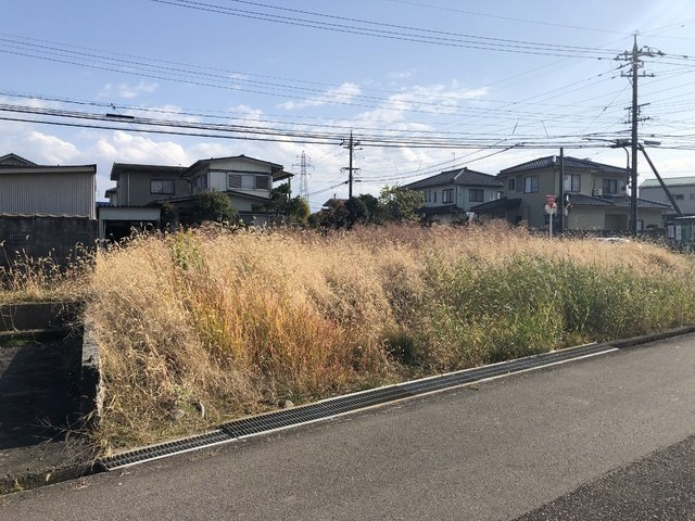 現地