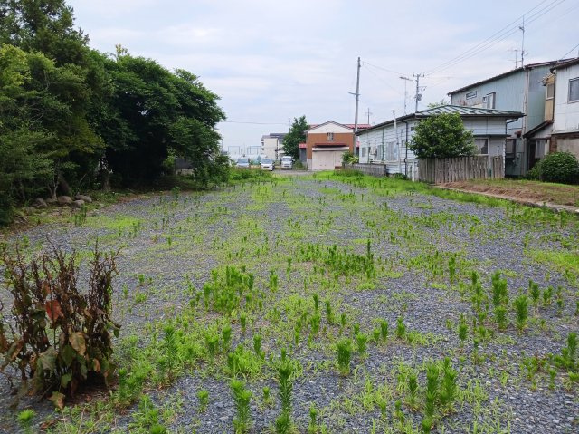 外観：304000291681