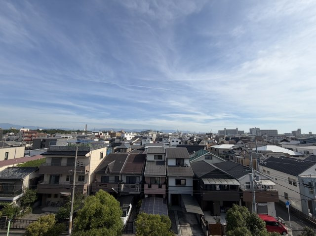 展望