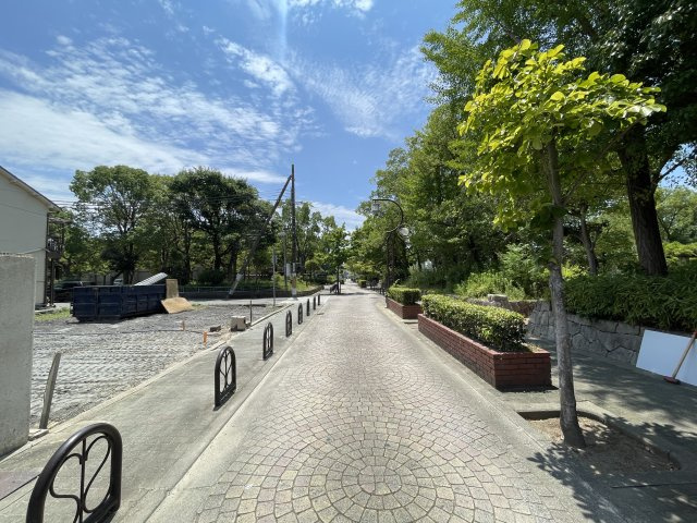 前面道路の写真です。