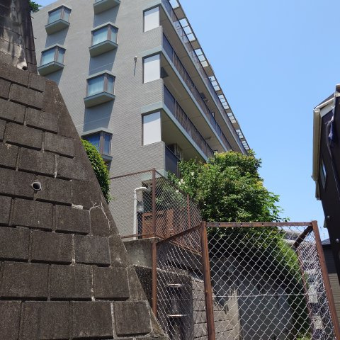 高い位置です