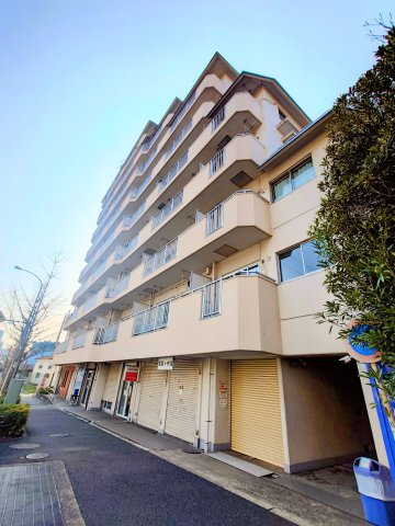 外観：313004677205