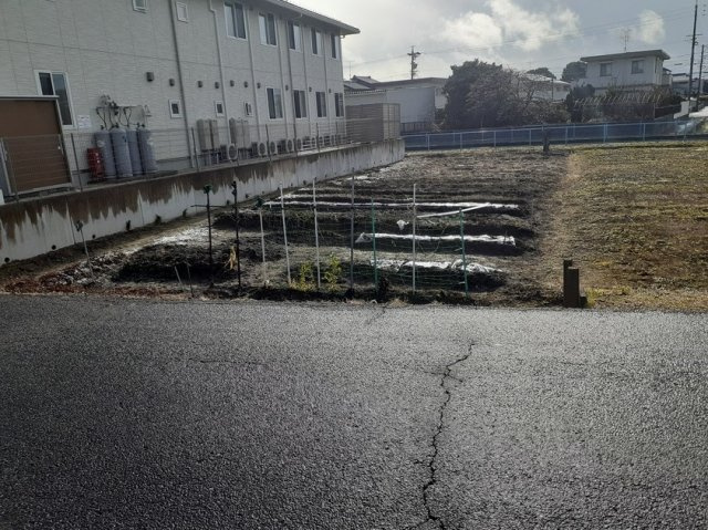 外観：323000438187