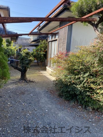 庭