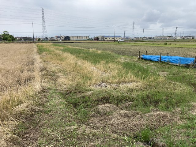 外観：322000558014