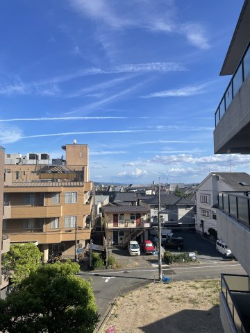 展望