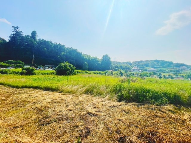 外観：311002368789