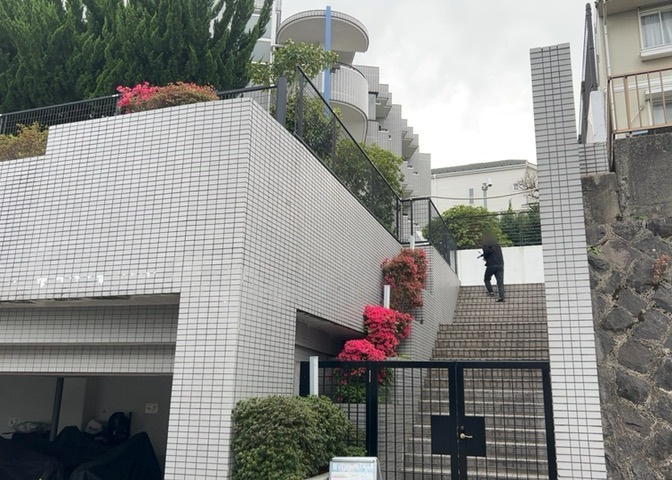 外観：313004702778