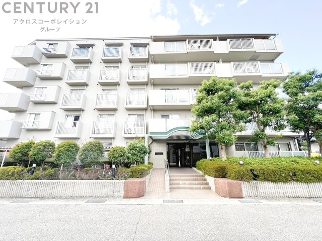 外観：328000229008